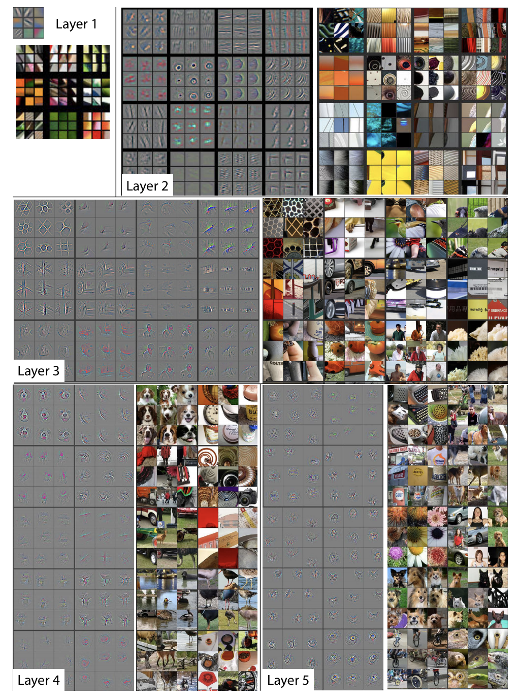 

<a href="https://arxiv.org/pdf/1311.2901.pdf" target="_blank" rel="nofollow noopener">Visualizing and Understanding Convolutional Networks</a>
. You can see how the first few layers capture basic shapes, and the shapes become more and more complex in the later layers.